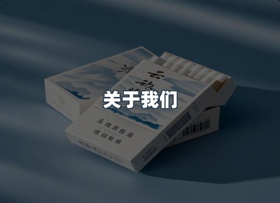 专业团队